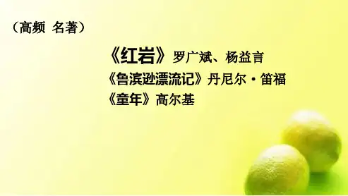 中考语文二轮复习名著导读《红岩》《鲁滨逊漂流记》《童年》课件
