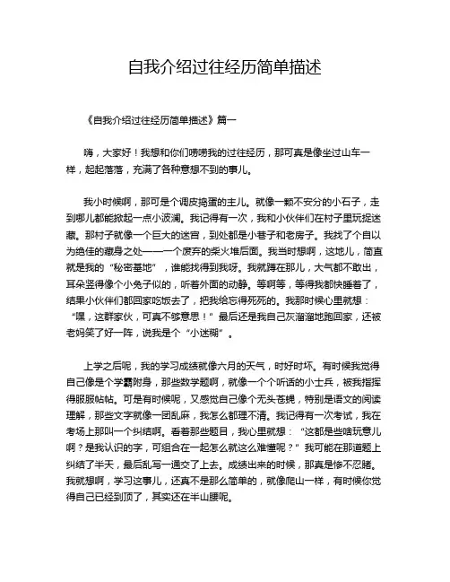 自我介绍过往经历简单描述