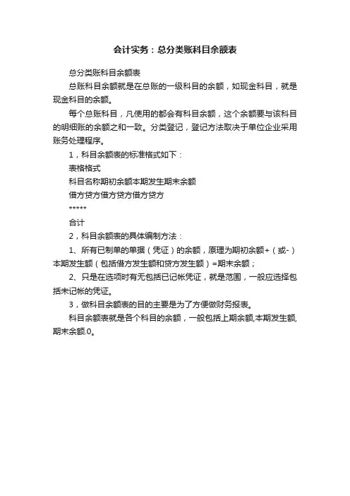 会计实务：总分类账科目余额表