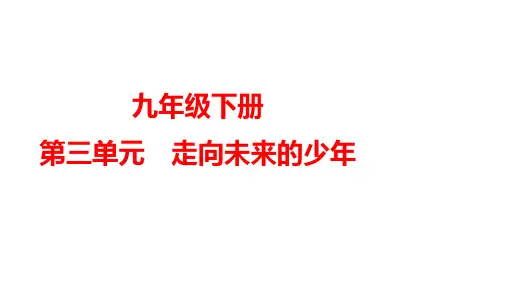 第三单元+走向未来的少年+复习课件 部编版道德与法治九年级下册