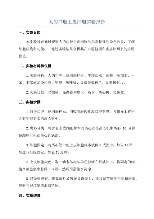 人的口腔上皮细胞实验报告