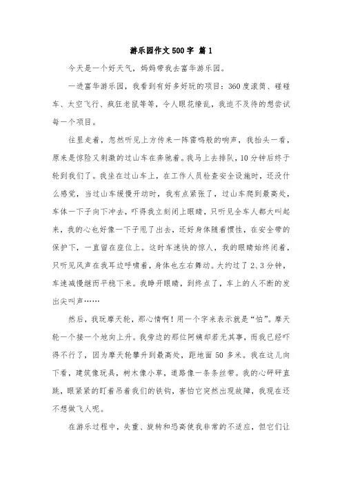 游游乐园范文500字