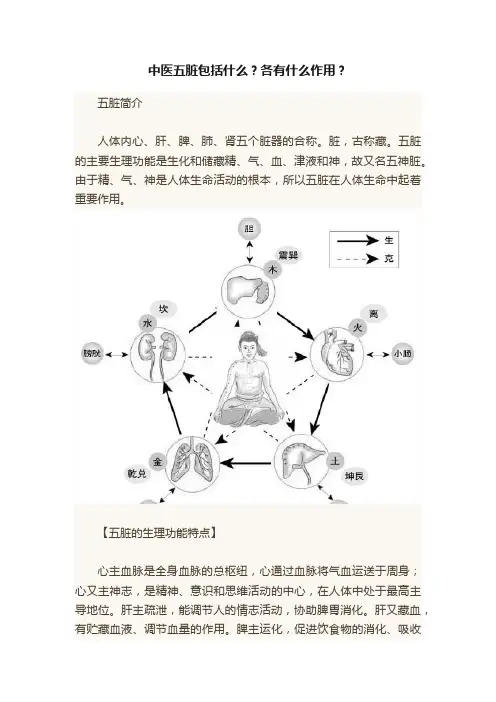中医五脏包括什么？各有什么作用？