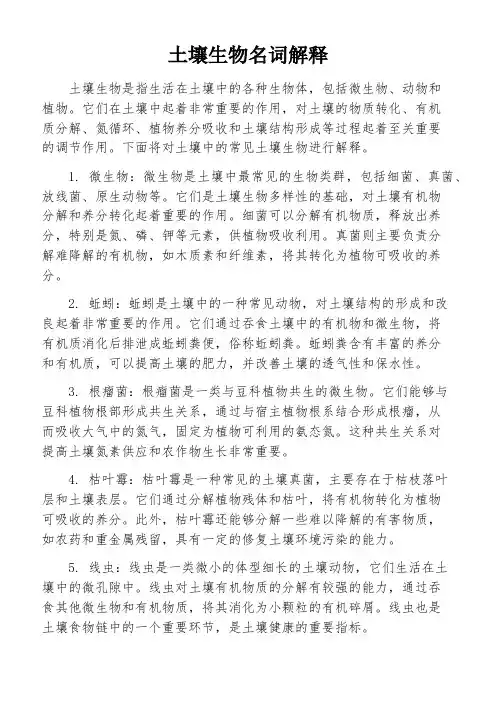 土壤生物名词解释