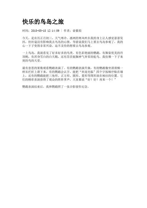快乐的鸟岛之旅