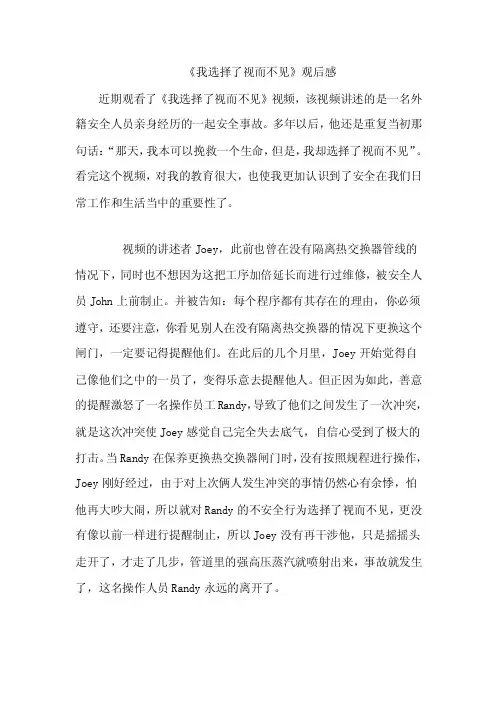 我选择了视而不见观后感