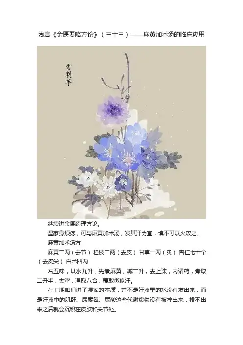 浅言《金匮要略方论》（三十三）——麻黄加术汤的临床应用