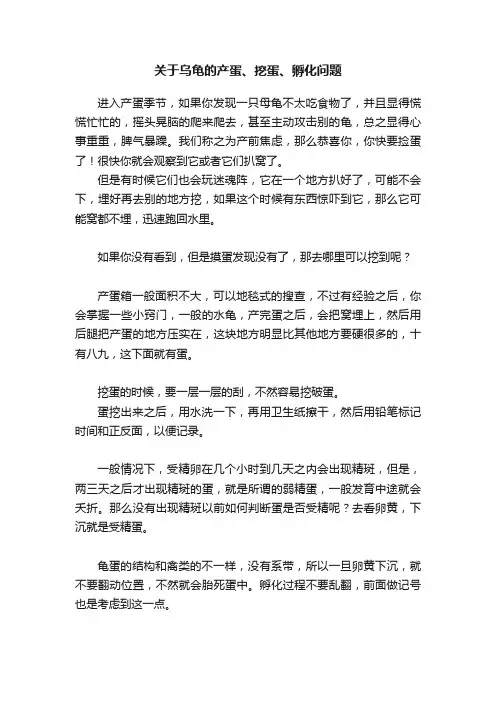 关于乌龟的产蛋、挖蛋、孵化问题