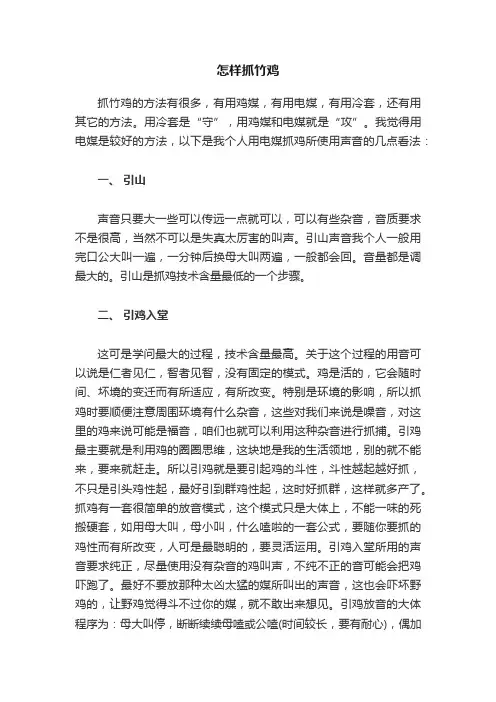 怎样抓竹鸡