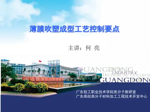 薄膜吹塑成型工艺控制要点概要