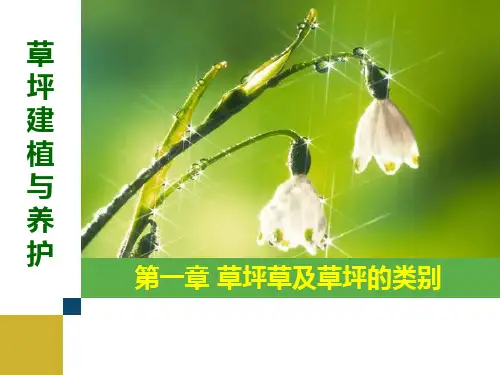 草坪建植与养护-第一章综述