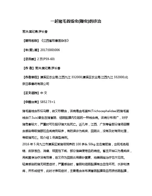 一起猪毛首线虫(鞭虫)的诊治