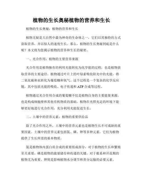 植物的生长奥秘植物的营养和生长