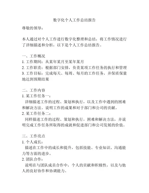 数字化个人工作总结报告