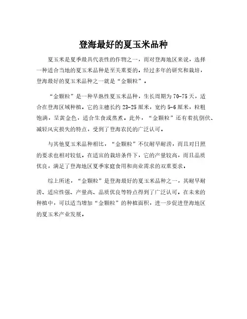 登海最好的夏玉米品种