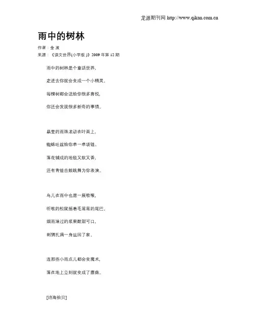 雨中的树林