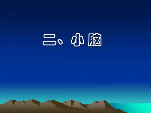 3小脑间脑端脑-51页PPT精品文档