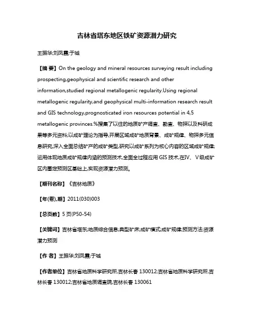 吉林省塔东地区铁矿资源潜力研究