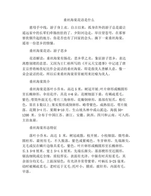 垂丝海棠花语是什么