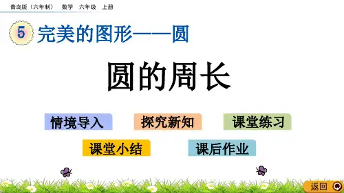 青岛版小学六年级数学上册第五单元圆的周长教学课件