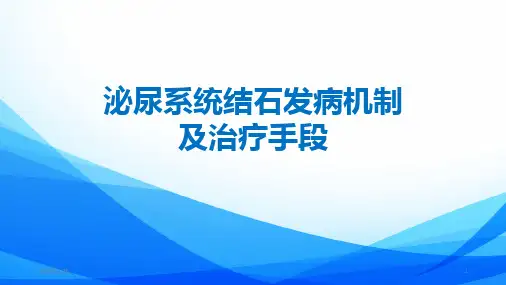 泌尿系统结石发病机制及治疗手段PPT课件