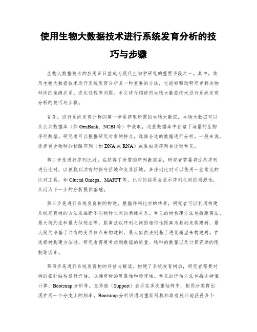 使用生物大数据技术进行系统发育分析的技巧与步骤