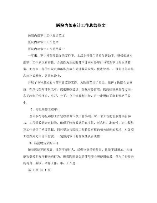 医院内部审计工作总结范文