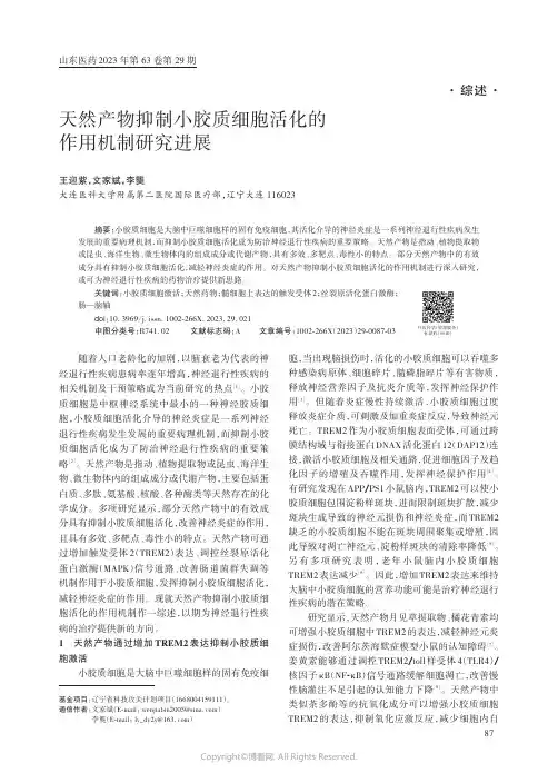 天然产物抑制小胶质细胞活化的作用机制研究进展