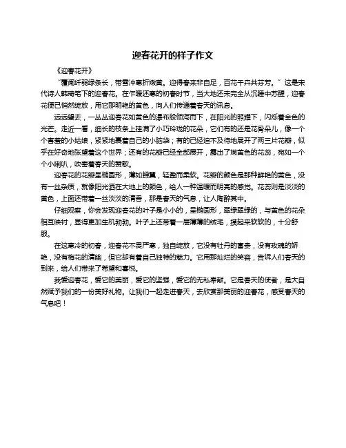 迎春花开的样子作文