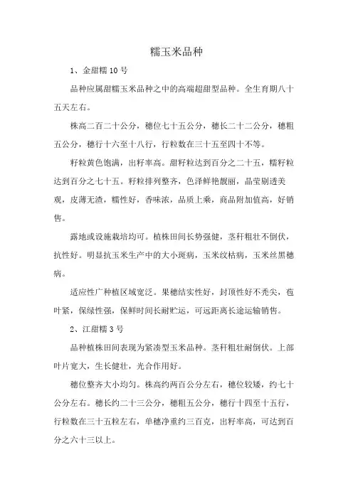 糯玉米品种