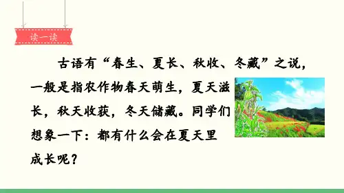 《夏天里的成长》教学课件(第一课时)(共15张PPT)