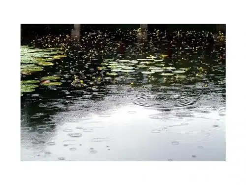 《雨后》完整版