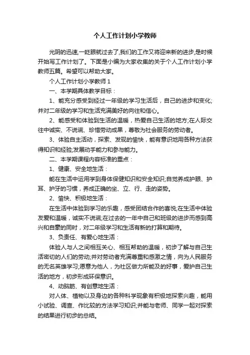 个人工作计划小学教师