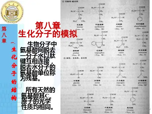 生化分子的模拟ppt课件
