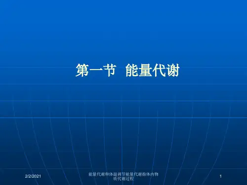 能量代谢和体温调节能量代谢指体内物质代谢过程培训课件