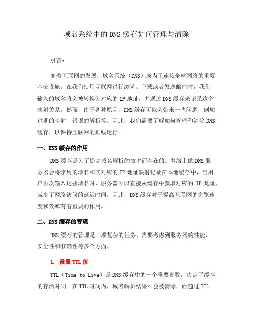 域名系统中的DNS缓存如何管理与清除(九)