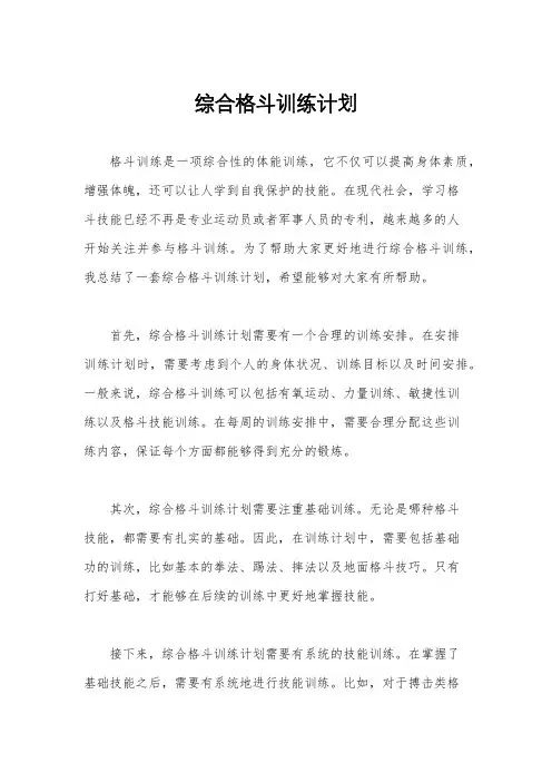 综合格斗训练计划