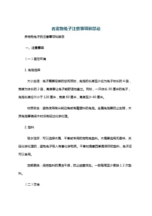 养宠物兔子注意事项和禁忌