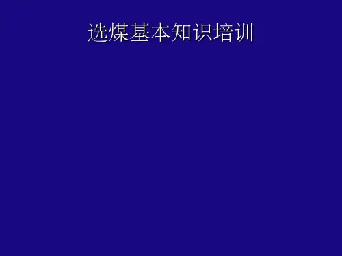 《选煤基本知识》PPT课件