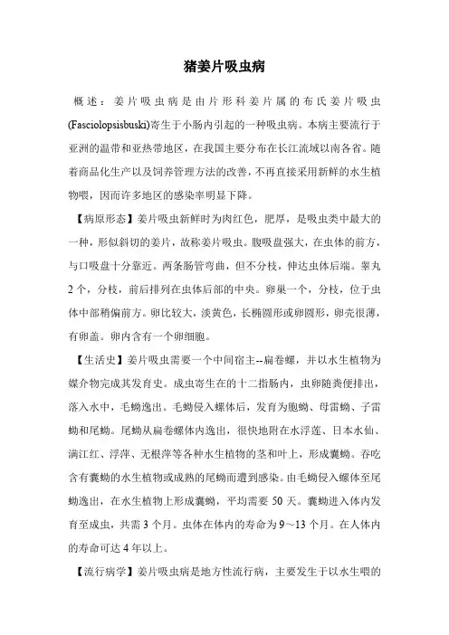 猪姜片吸虫病.doc