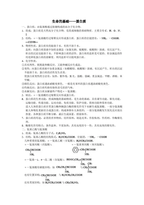 生命的基础——蛋白质
