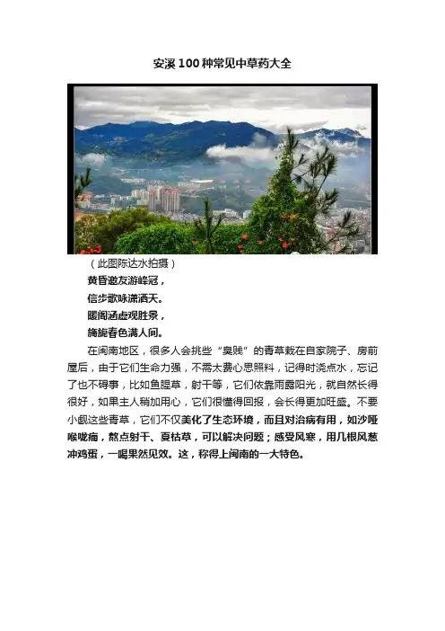 安溪100种常见中草药大全