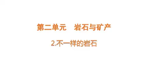 大象版小学四年级上册科学 第二单元 岩石与矿产 2 不一样的岩石