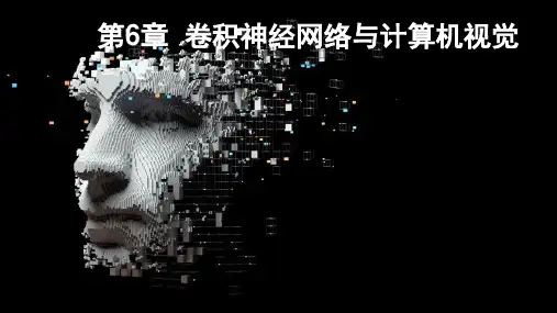 深度学习理论与实践 第6章  卷积神经网络与计算机视觉