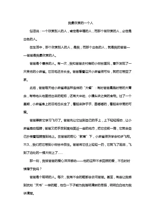 我最欣赏的一个人