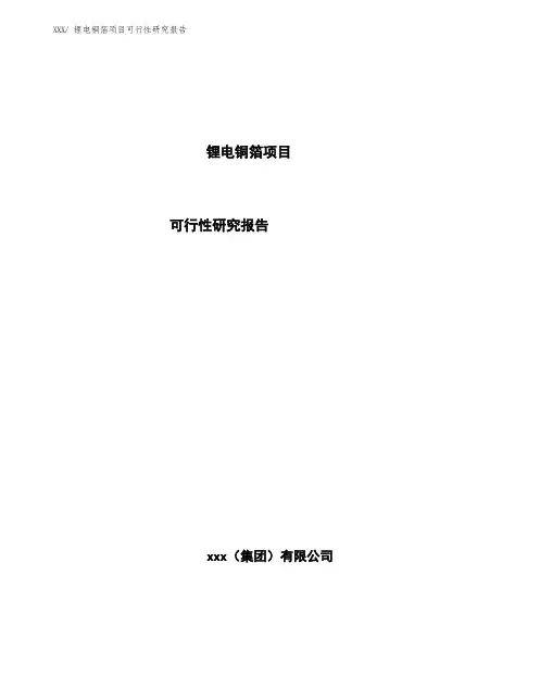 锂电铜箔项目可行性研究报告( word 版)