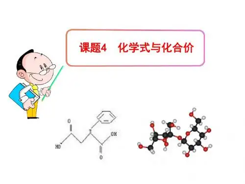 九年级化学上册4.4化学式与化合价课件(新人教版)