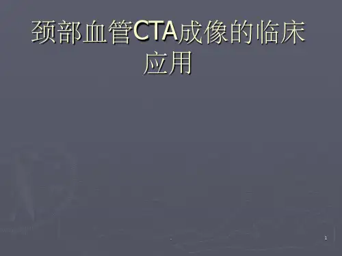 颈动脉CTAppt课件