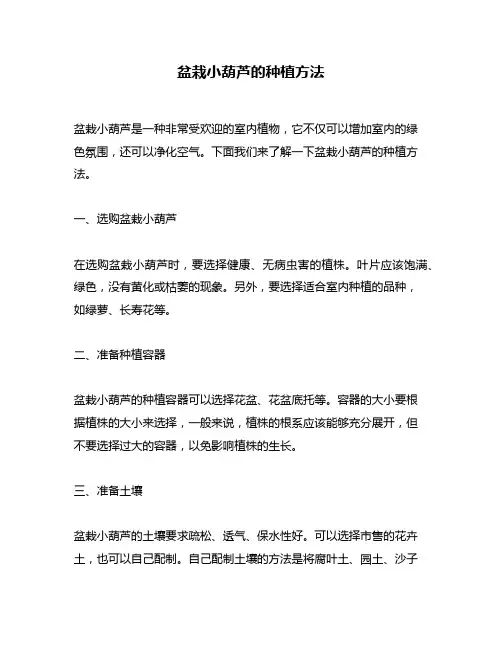 盆栽小葫芦的种植方法