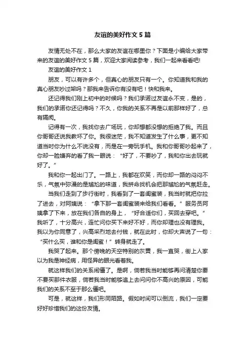 友谊的美好作文5篇